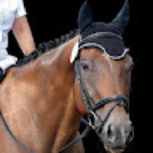 Meet your Posher, Marie